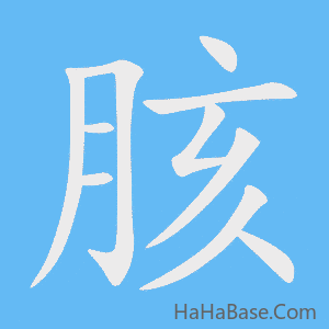《胲》的筆順動畫寫字動畫演示