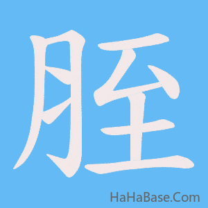《胵》的筆順動畫寫字動畫演示