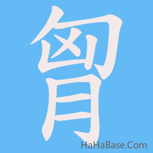 《胷》的筆順動畫寫字動畫演示