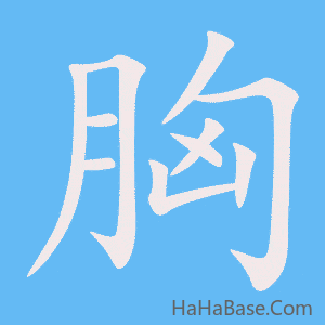 《胸》的筆順動畫寫字動畫演示