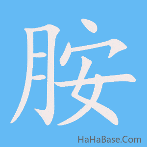 《胺》的筆順動畫寫字動畫演示