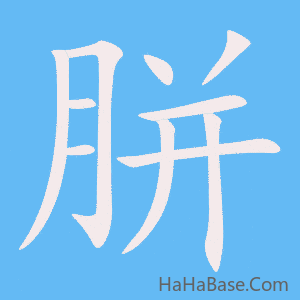 《胼》的筆順動畫寫字動畫演示