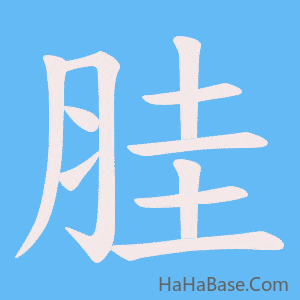 《胿》的筆順動畫寫字動畫演示