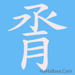 《脀》的筆順動畫寫字動畫演示