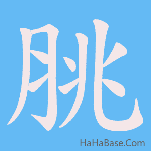 《脁》的筆順動畫寫字動畫演示