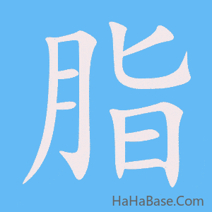 《脂》的筆順動畫寫字動畫演示