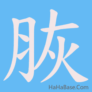 《脄》的筆順動畫寫字動畫演示