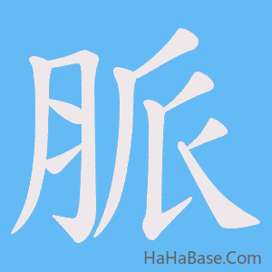 《脈》的筆順動畫寫字動畫演示