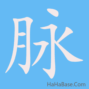 《脉》的筆順動畫寫字動畫演示