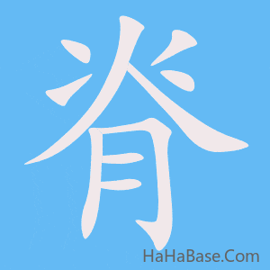 《脊》的筆順動畫寫字動畫演示