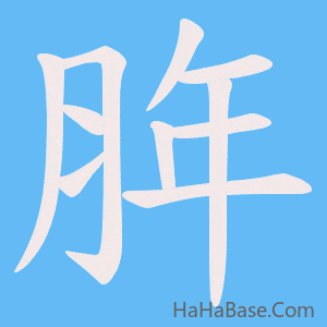 《脌》的筆順動畫寫字動畫演示
