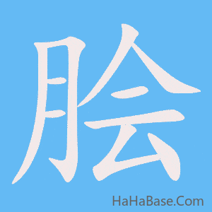 《脍》的筆順動畫寫字動畫演示
