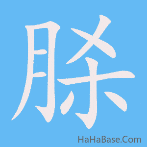 《脎》的筆順動畫寫字動畫演示