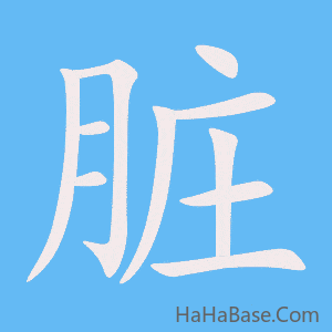 《脏》的筆順動畫寫字動畫演示