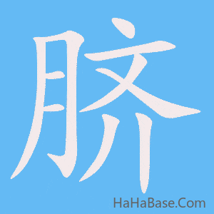 《脐》的筆順動畫寫字動畫演示