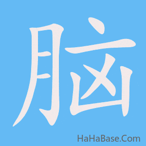 《脑》的筆順動畫寫字動畫演示
