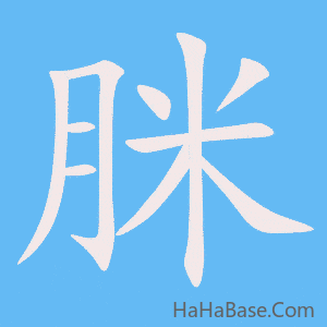 《脒》的筆順動畫寫字動畫演示