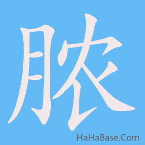 《脓》的筆順動畫寫字動畫演示