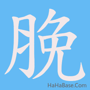 《脕》的筆順動畫寫字動畫演示