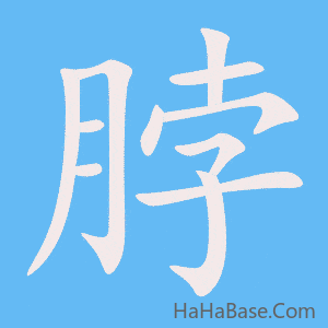 《脖》的筆順動畫寫字動畫演示