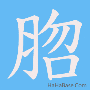 《脗》的筆順動畫寫字動畫演示
