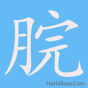 《脘》的筆順動畫寫字動畫演示
