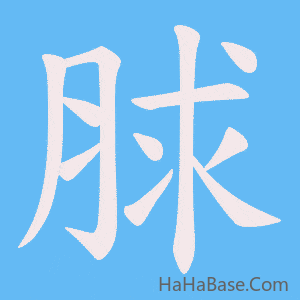 《脙》的筆順動畫寫字動畫演示