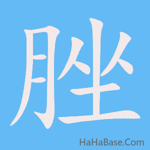 《脞》的筆順動畫寫字動畫演示