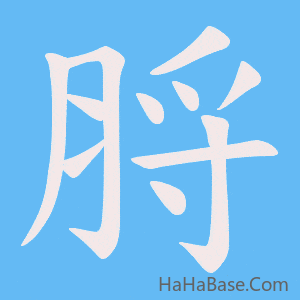 《脟》的筆順動畫寫字動畫演示
