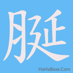 《脠》的筆順動畫寫字動畫演示