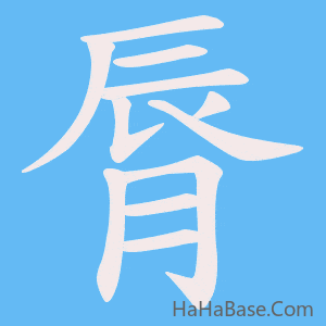 《脣》的筆順動畫寫字動畫演示