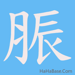 《脤》的筆順動畫寫字動畫演示