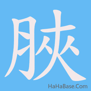 《脥》的筆順動畫寫字動畫演示