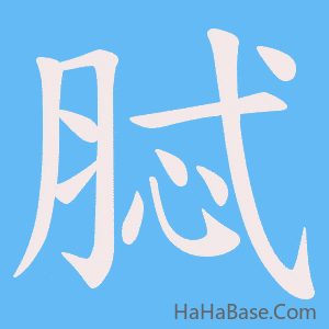 《脦》的筆順動畫寫字動畫演示