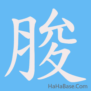 《脧》的筆順動畫寫字動畫演示