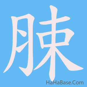 《脨》的筆順動畫寫字動畫演示