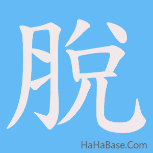 《脫》的筆順動畫寫字動畫演示