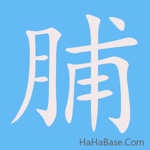 《脯》的筆順動畫寫字動畫演示