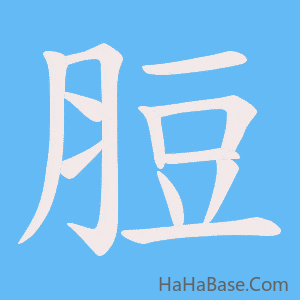 《脰》的筆順動畫寫字動畫演示