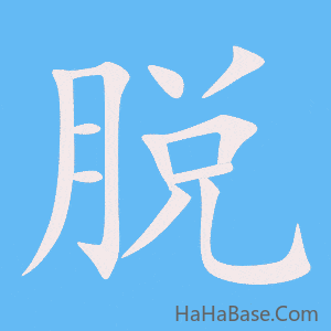 《脱》的筆順動畫寫字動畫演示