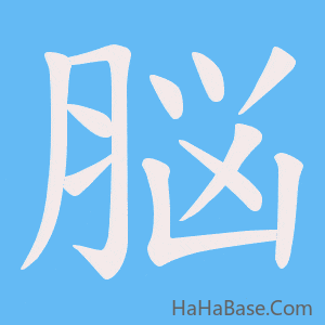 《脳》的筆順動畫寫字動畫演示