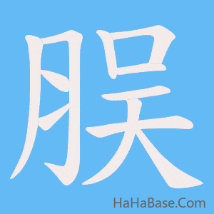 《脵》的筆順動畫寫字動畫演示