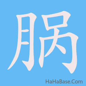 《脶》的筆順動畫寫字動畫演示