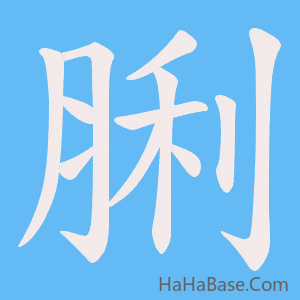 《脷》的筆順動畫寫字動畫演示
