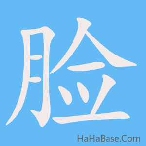 《脸》的筆順動畫寫字動畫演示