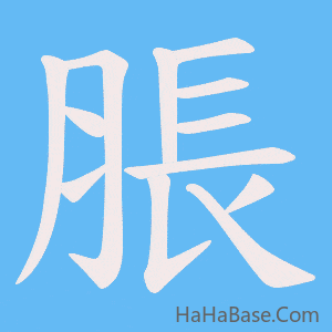 《脹》的筆順動畫寫字動畫演示
