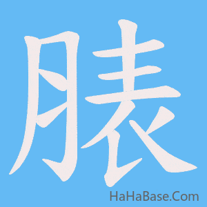 《脿》的筆順動畫寫字動畫演示