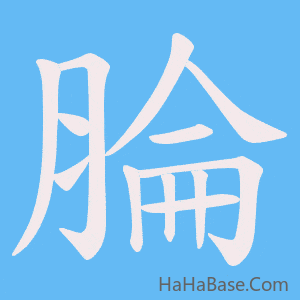 《腀》的筆順動畫寫字動畫演示