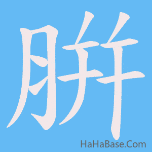 《腁》的筆順動畫寫字動畫演示
