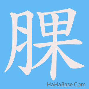 《腂》的筆順動畫寫字動畫演示